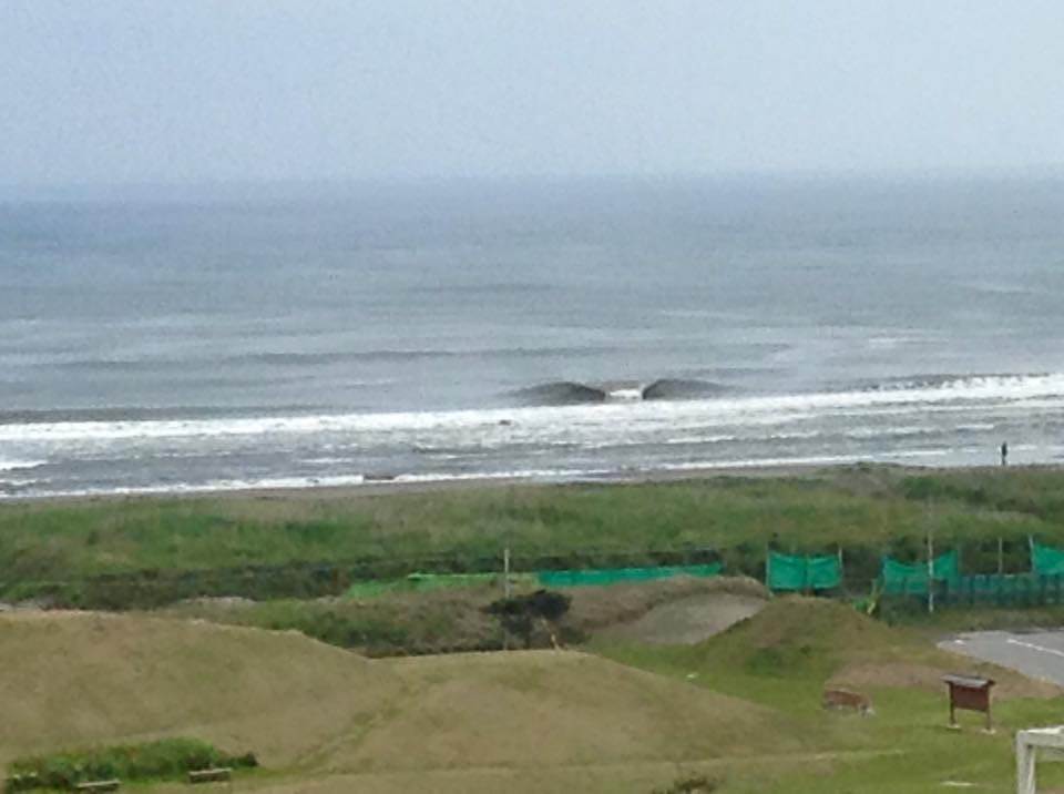 out front, always empty