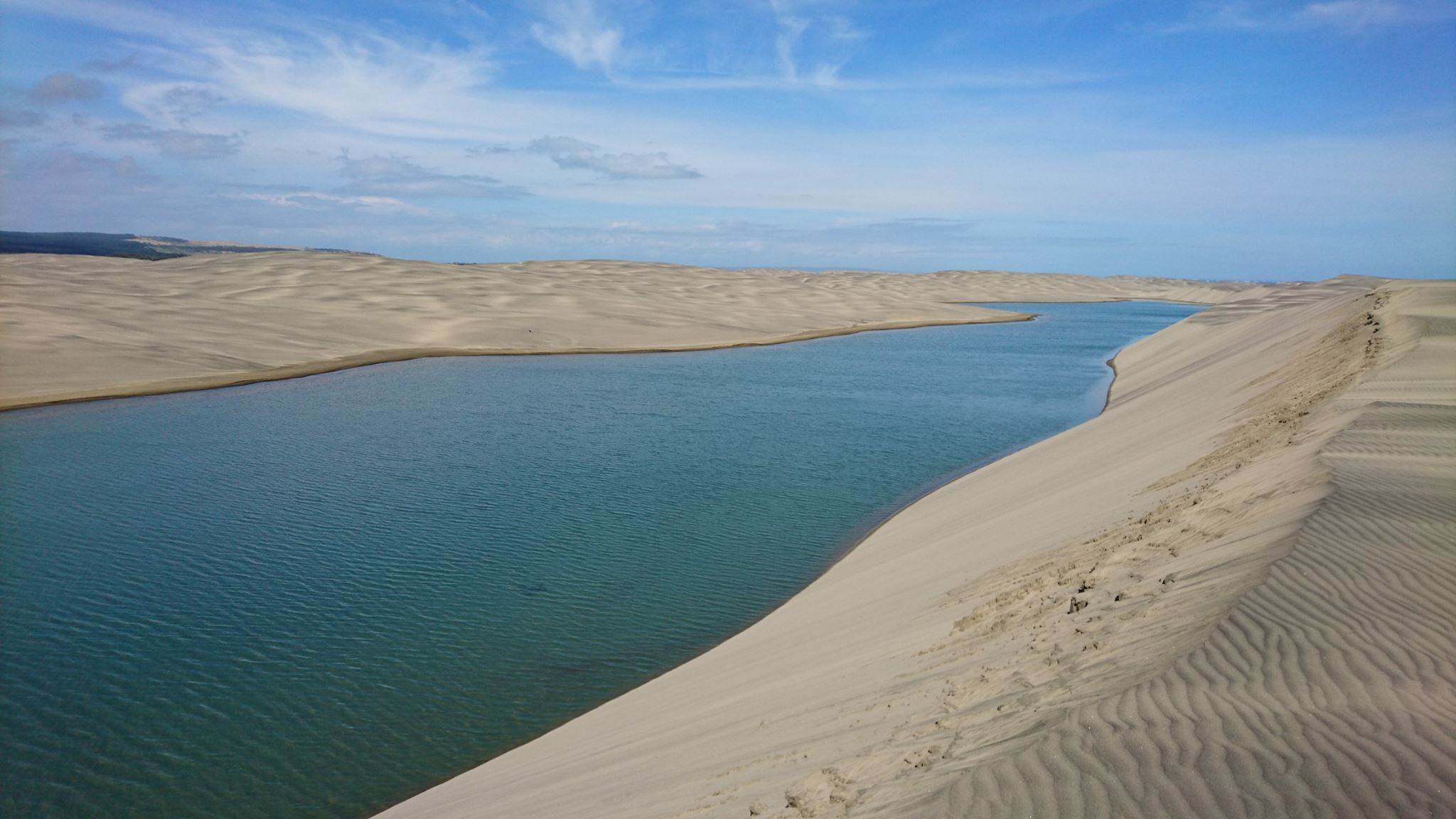 22459542 10211370718129800 1332672829158431747 o