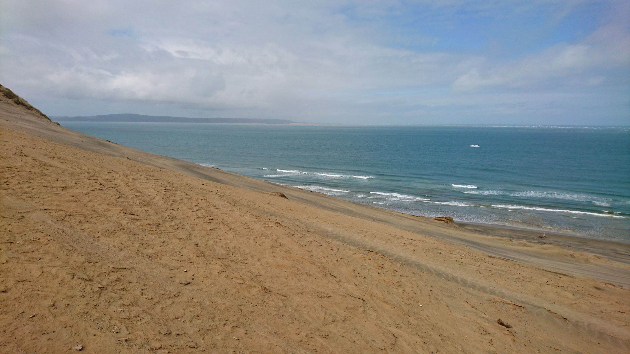 22467686 10211370716449758 7058167091017378924 o