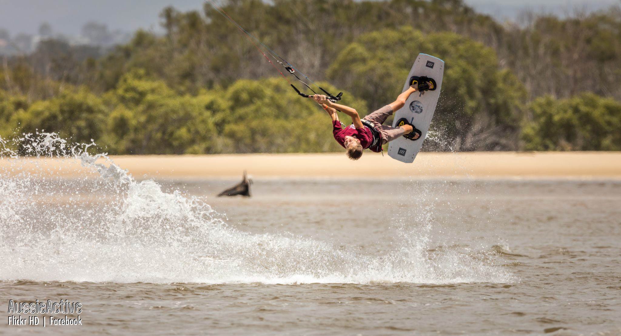 24210372 1735138056529646 7154385337031892088 o