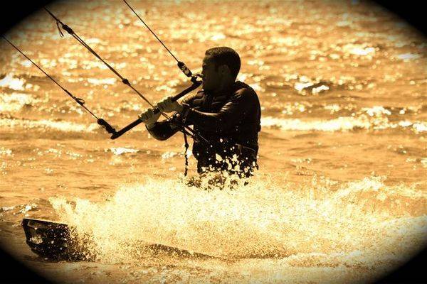 Mariones from Brazil - Gold Wind