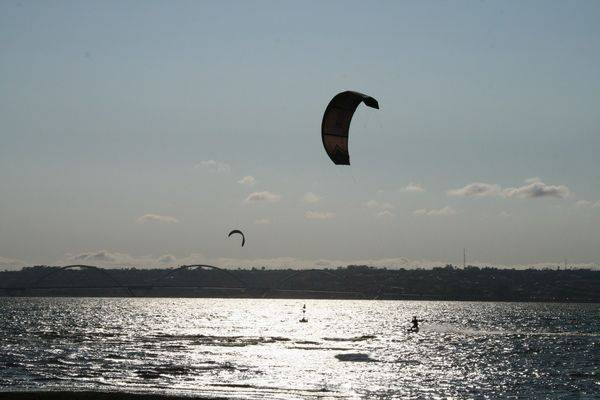 Mariones from Brazil - Paranoá Lagoon 