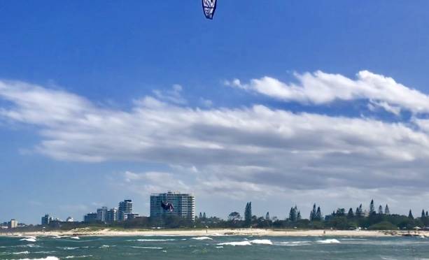 kite cotton tree me 2018