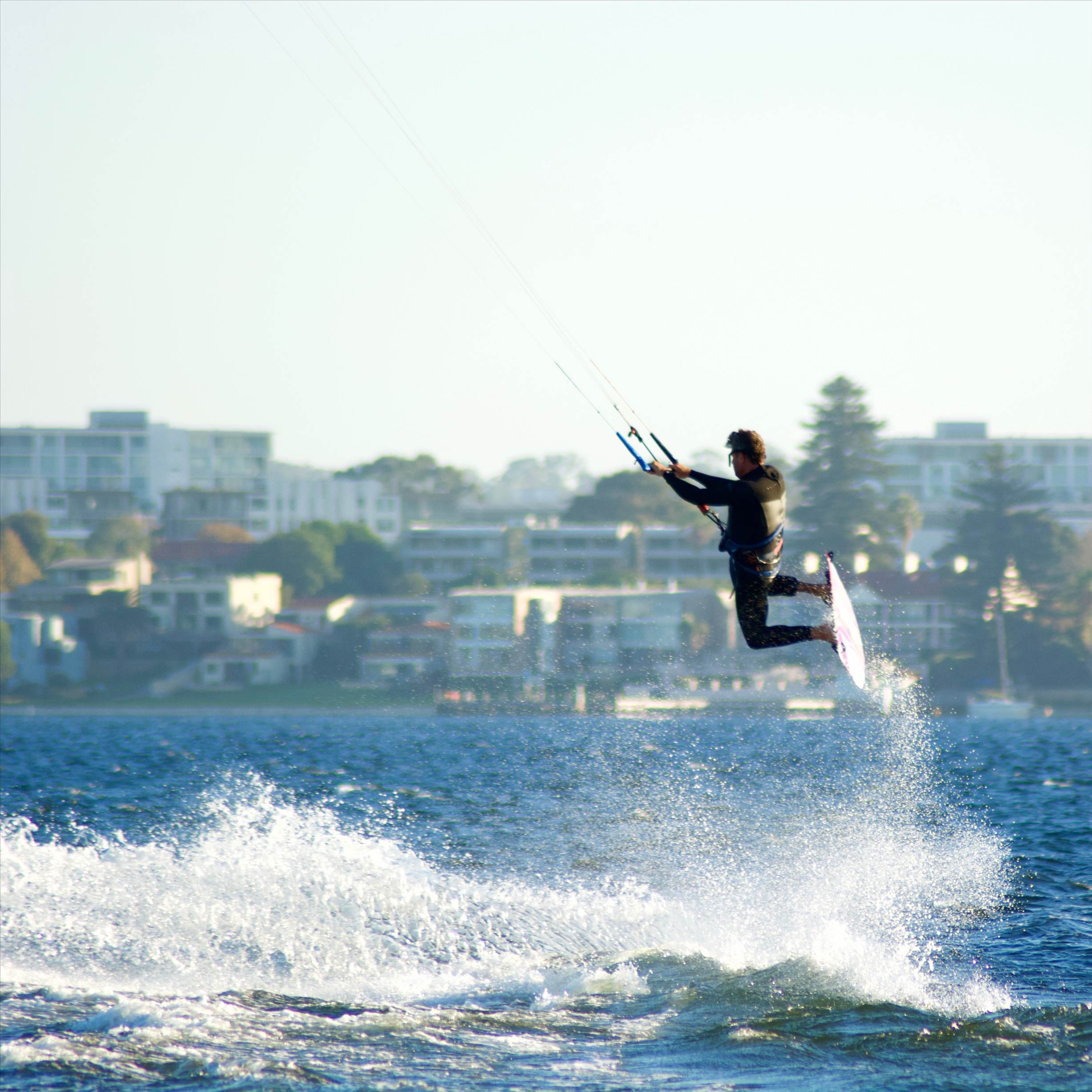 Love watching them fly