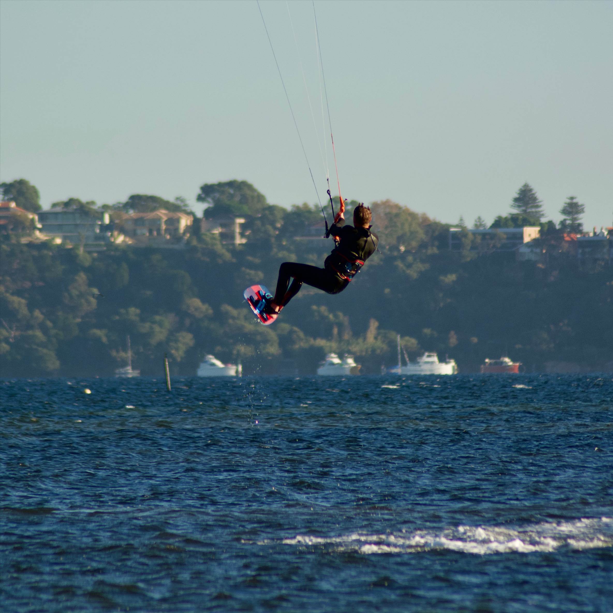 Love watching them fly