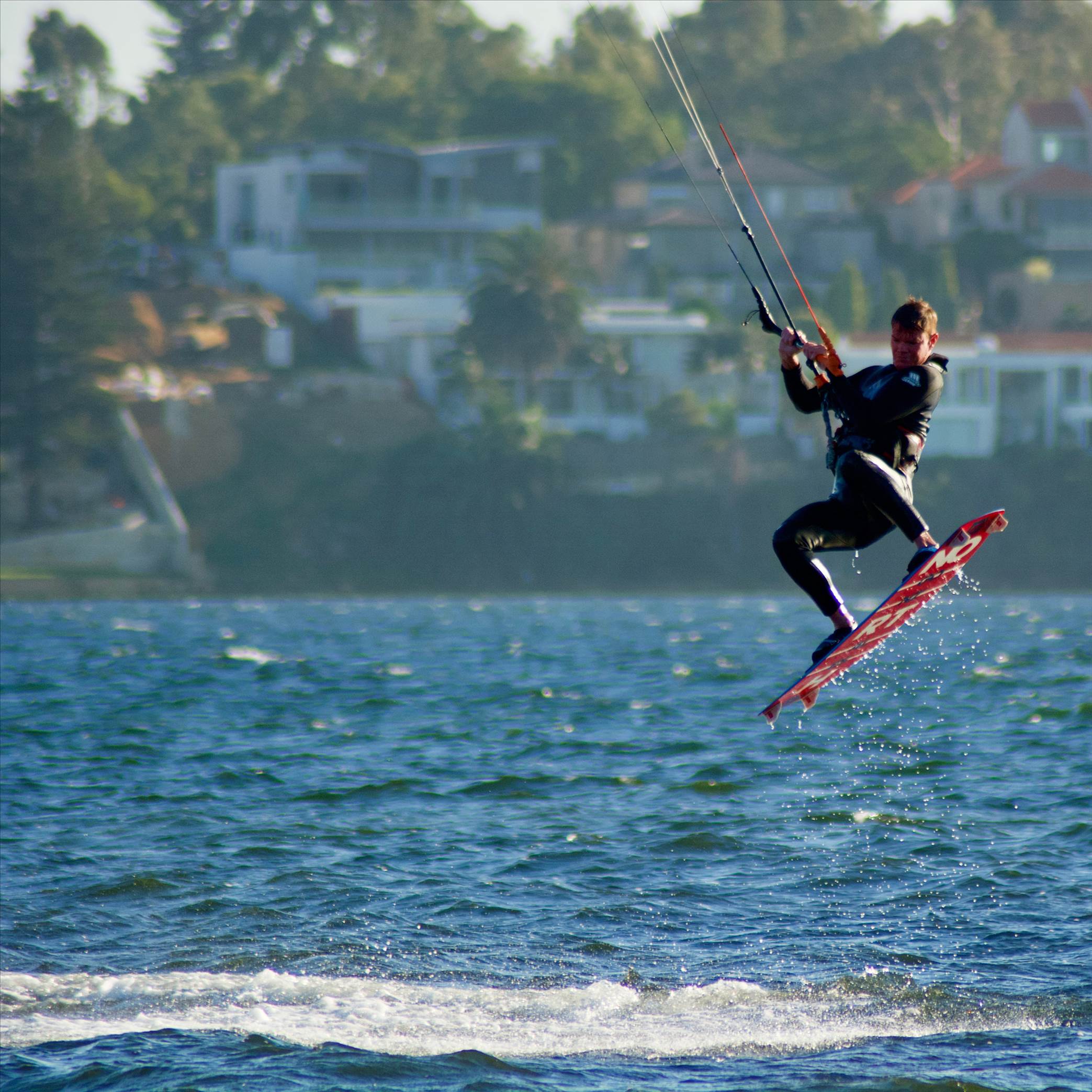 Love watching them fly