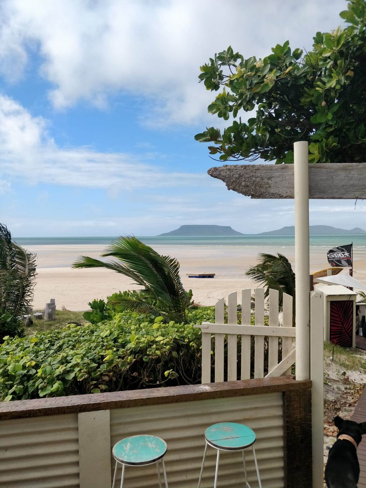 WhatsApp Image 2018-06-14 at 3.12.50 PM