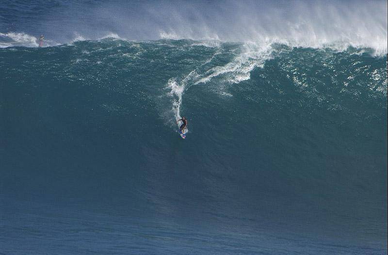 Swimming with the fishes