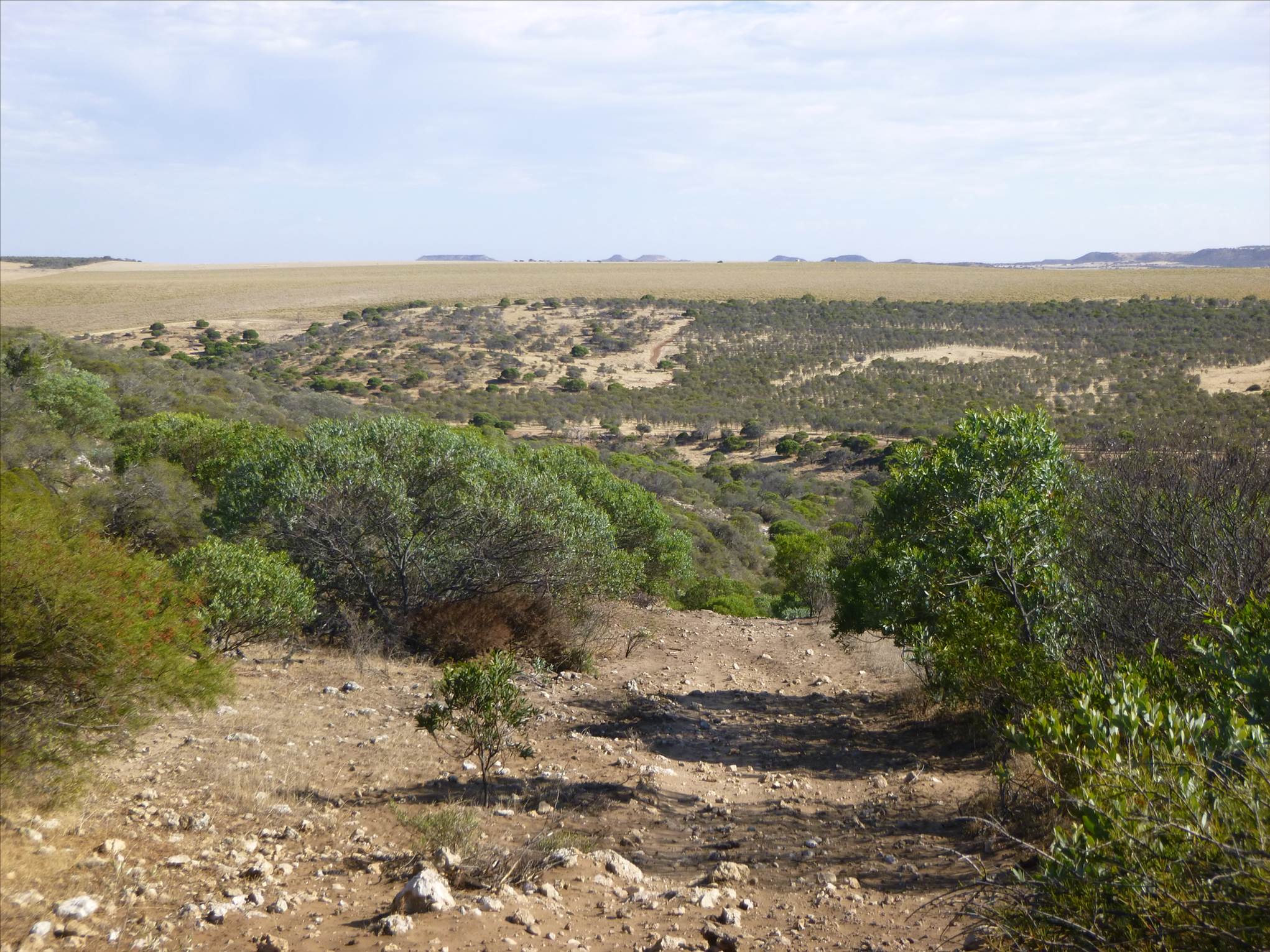Missing kiter 4.1.2019 unique stretch of coast.Its not ideal for a port