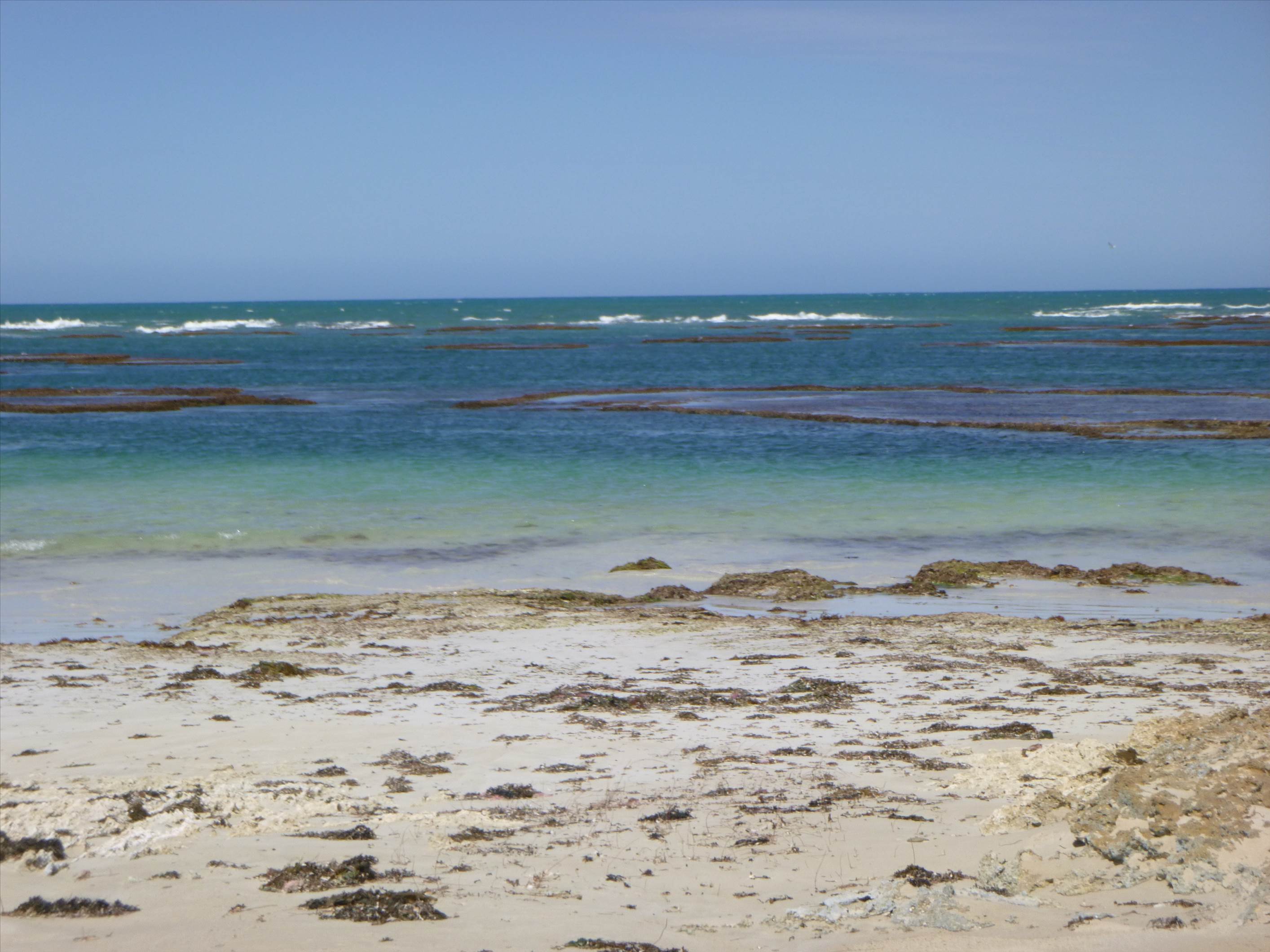 Missing kiter 4.1.2019 unique stretch of coast.Its not ideal for a port