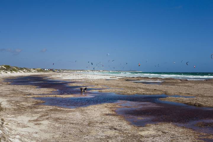 Kitestock- How awsome!