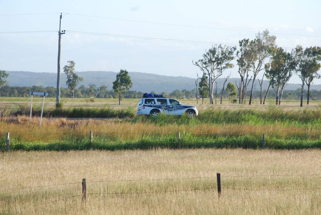 Cow paddock riding