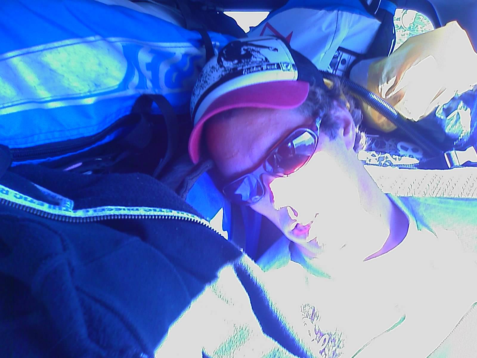 Secret Harbour Shark