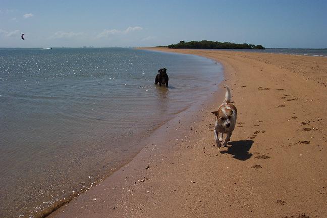 Welligton point - Lily and Conway