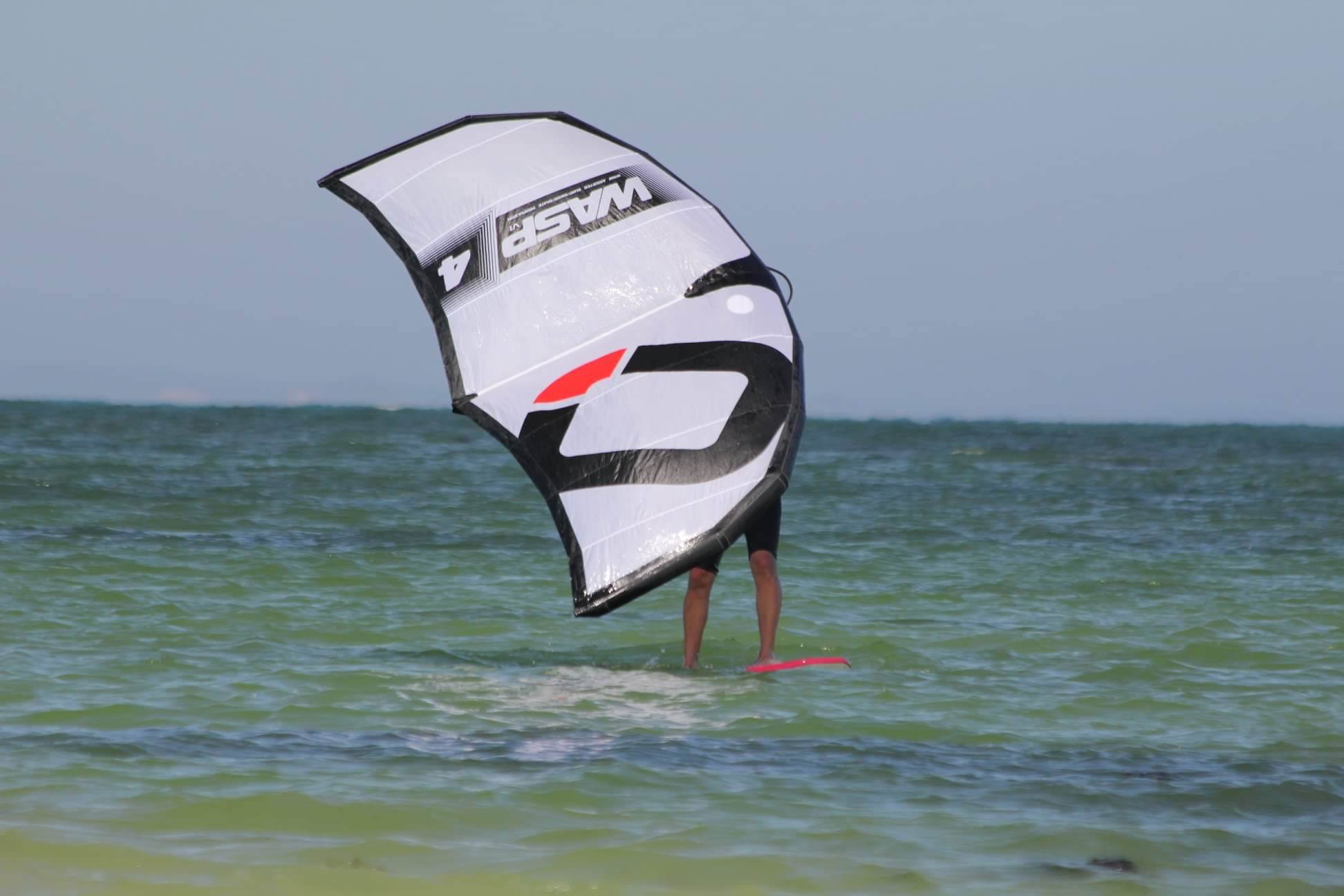 81399973 2507685866157496 7329418195213746176 o