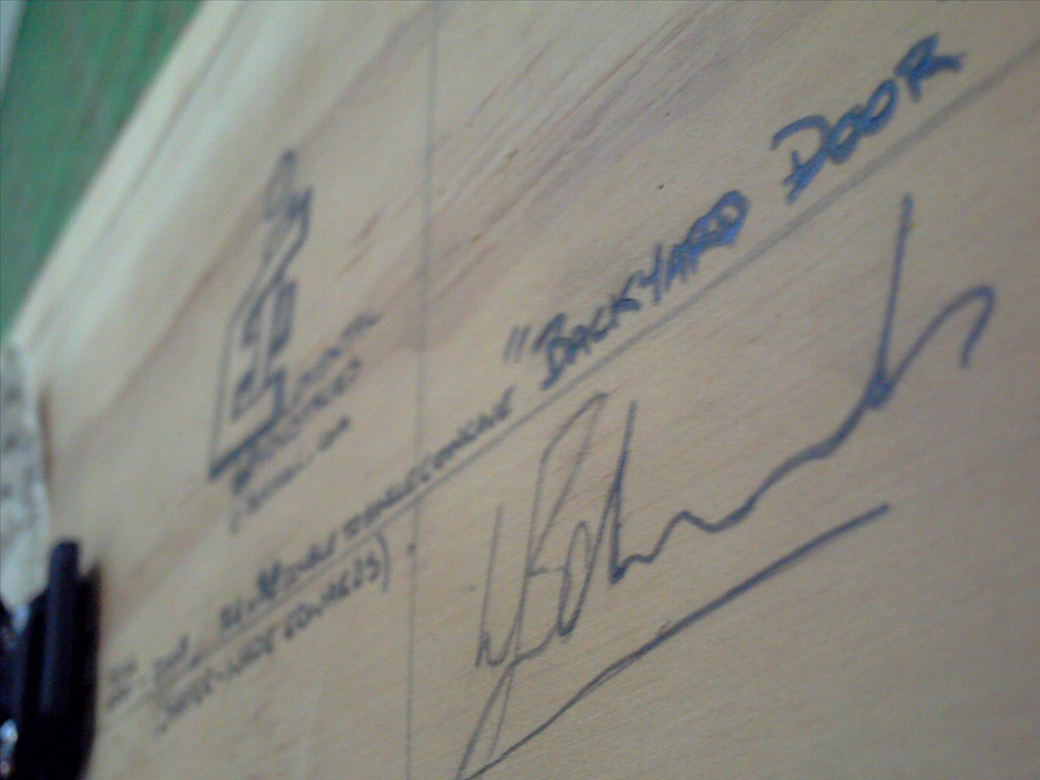 The EI 124x38  Backyard Door