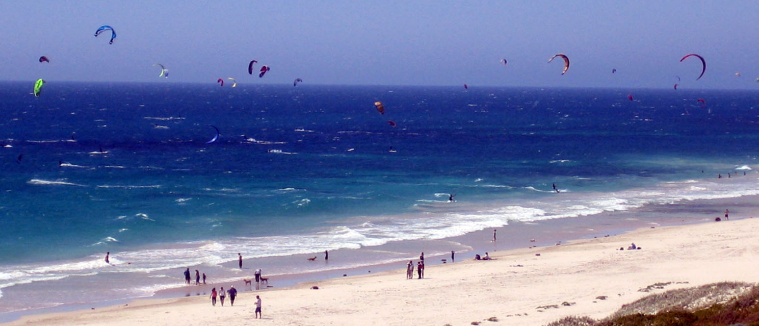 It's a good show for the public