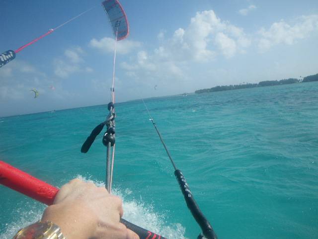 various photos of cocos to 7/8/08