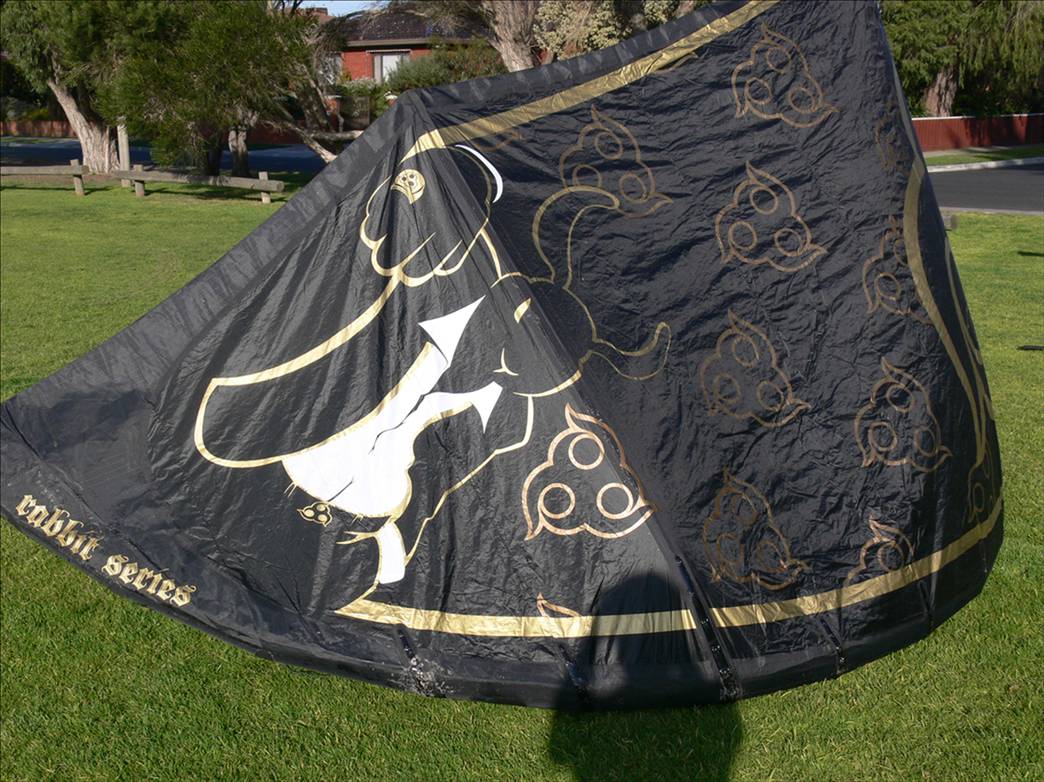 Wainman kites 12m Boss