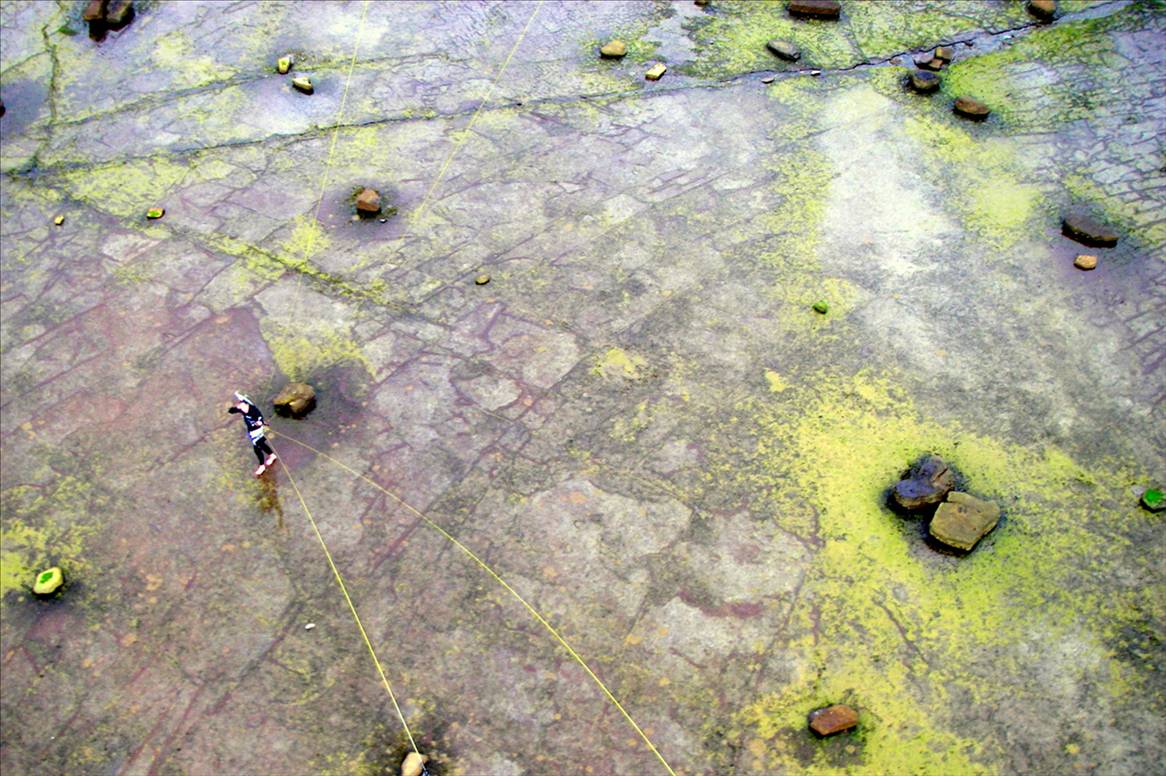 The walk at Longreef