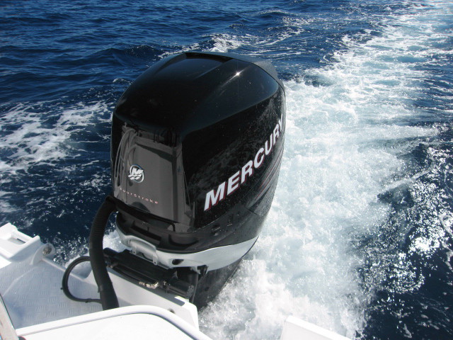 Brothers Grin heading out.