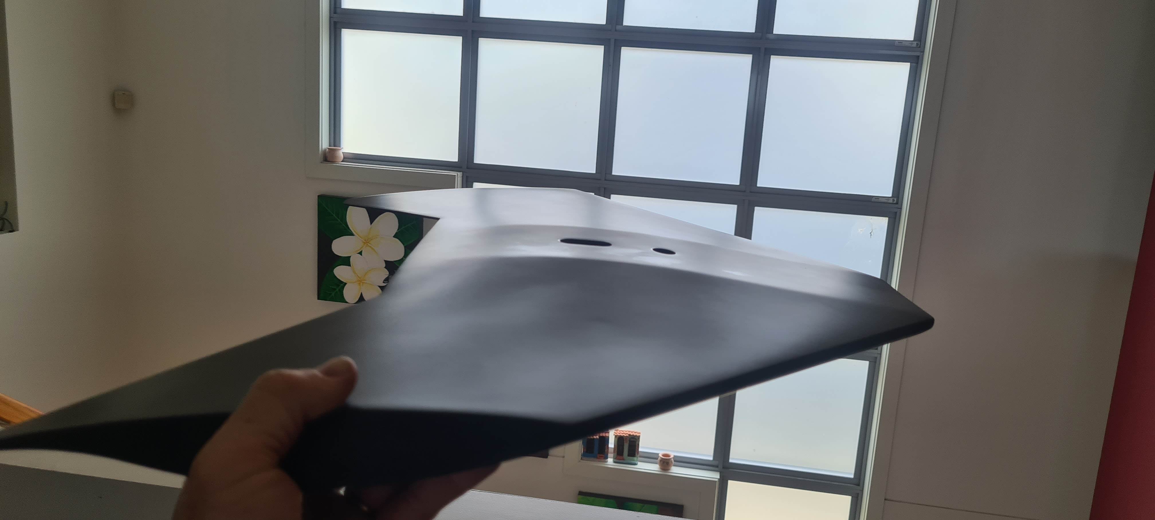 T1 Triton foil Mono-wing