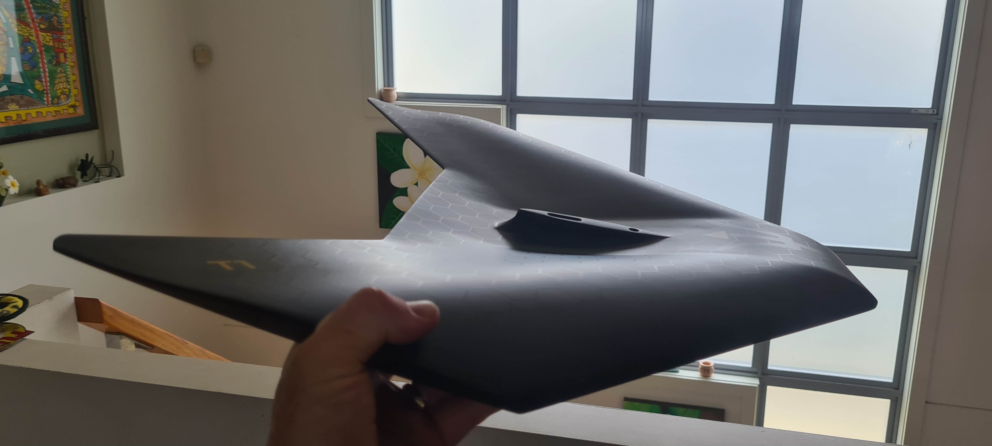 T1 Triton foil Mono-wing