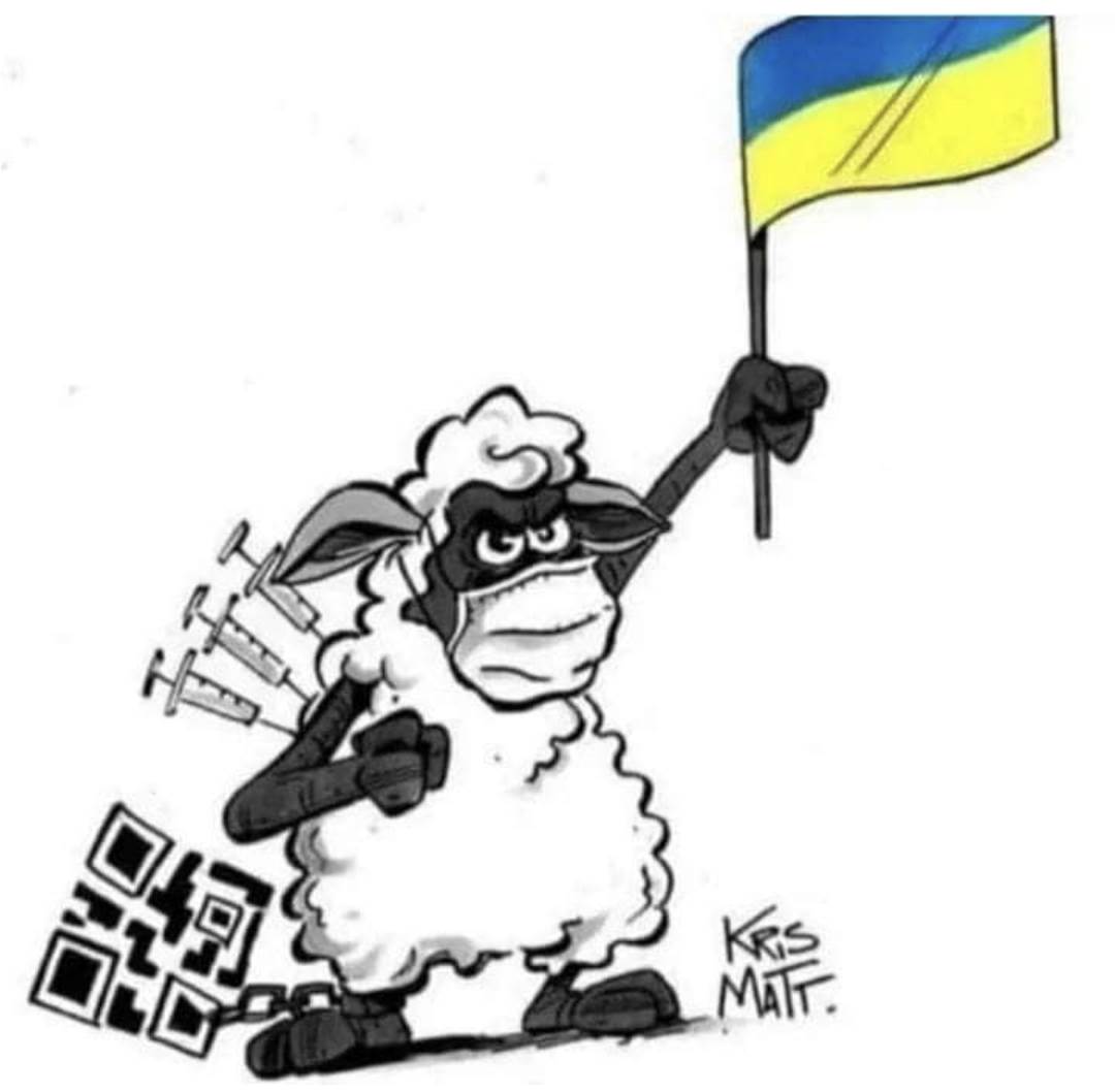 Screenshot20220325-205237