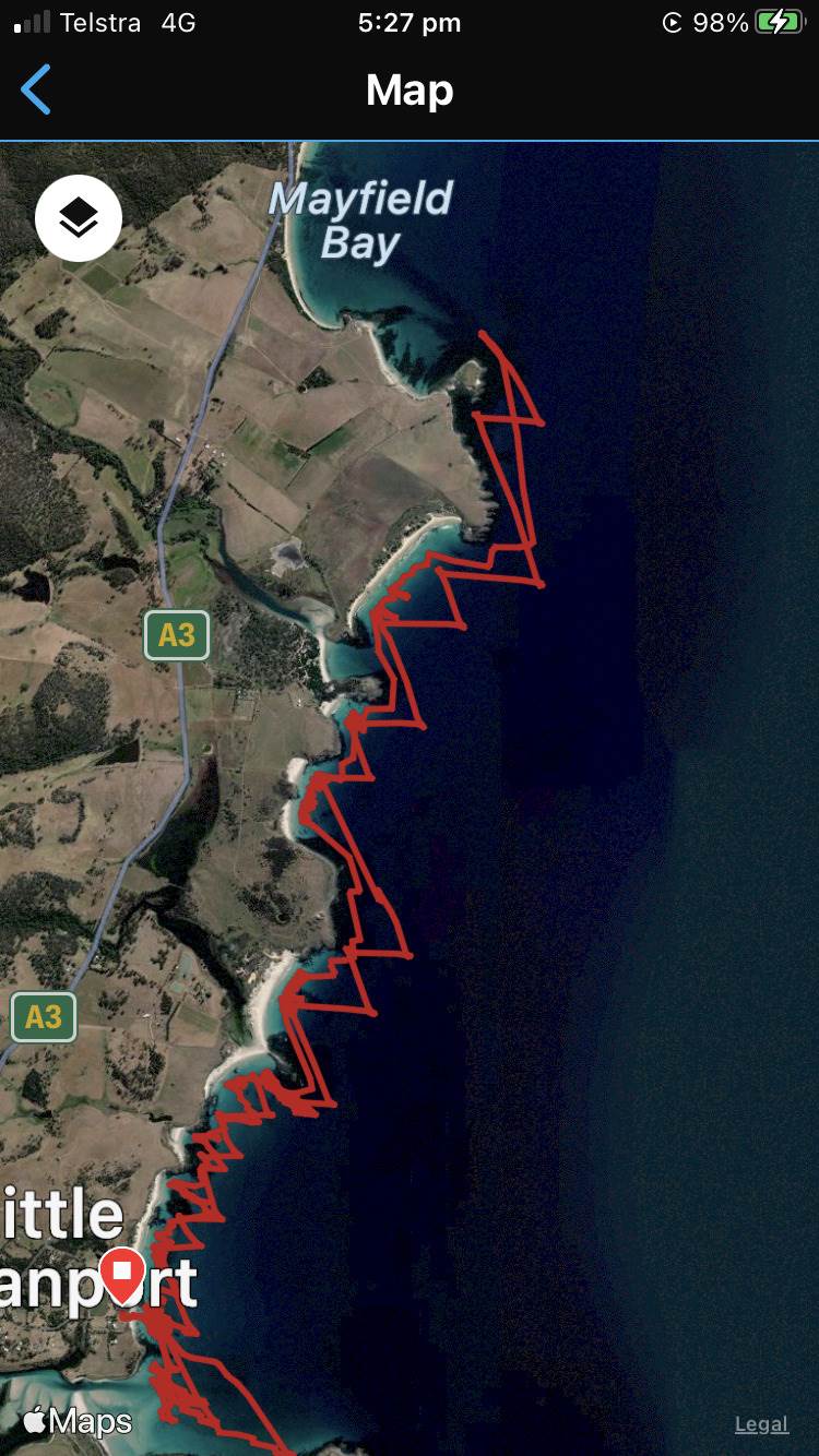 Great coastal foil today