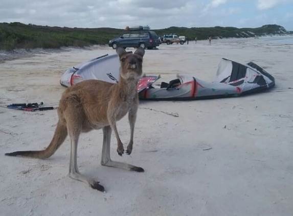 Screenshot20230128-222738Instagram