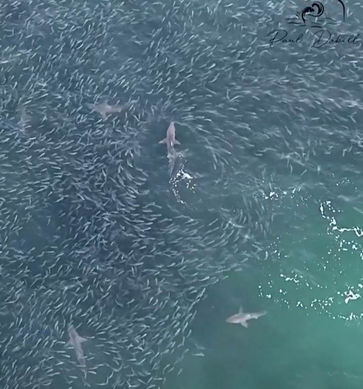 Screenshot20230329-211149Video Player