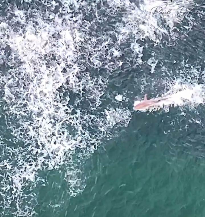 Screenshot20230329-211209Video Player