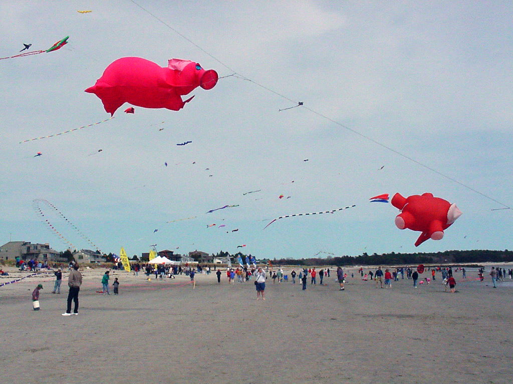 pink kite