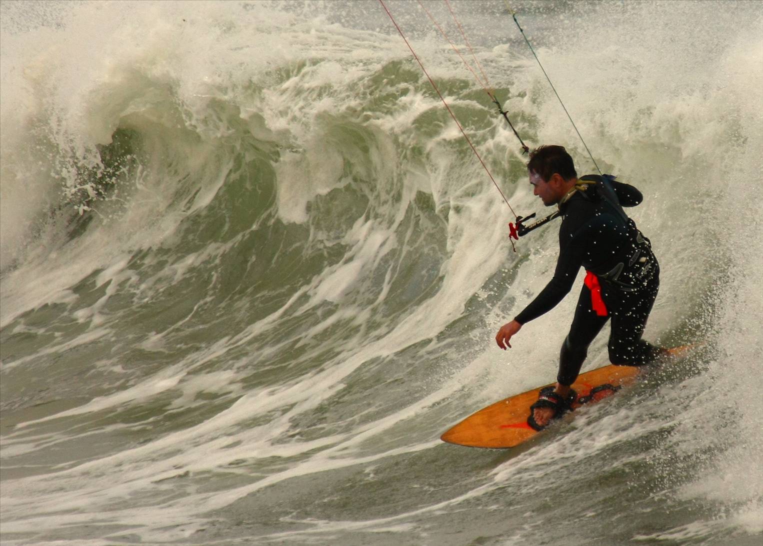 imposos    christmas /new year