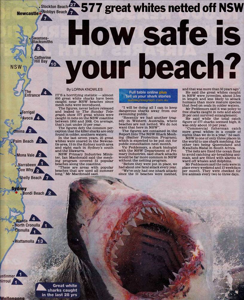NSW 28yrs of Great White Shark Stats