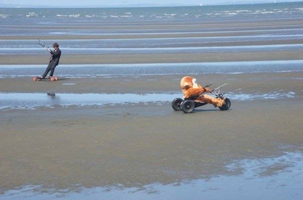 n1154478244 78155 1981