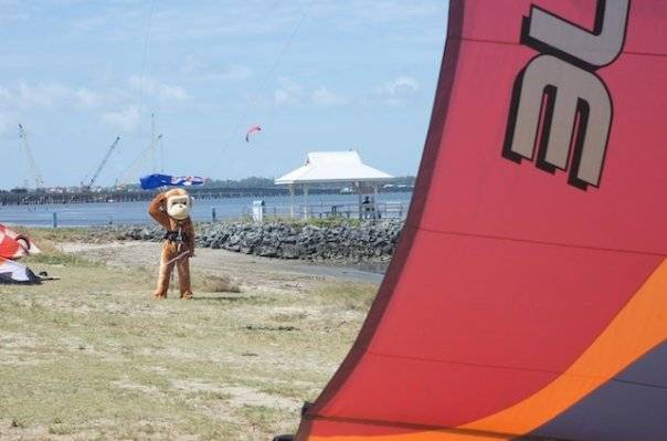 n1154478244 78150 498