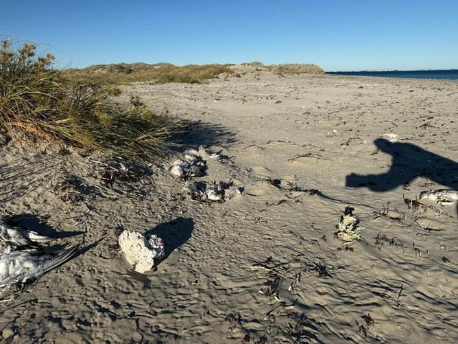 8d71c6b3e16de9181968dcf8c44ca871de184a72