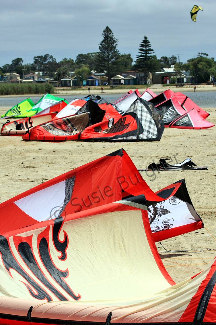 milangs muddy mermaids