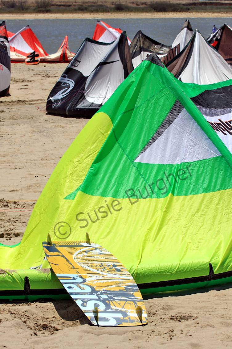 milangs muddy mermaids