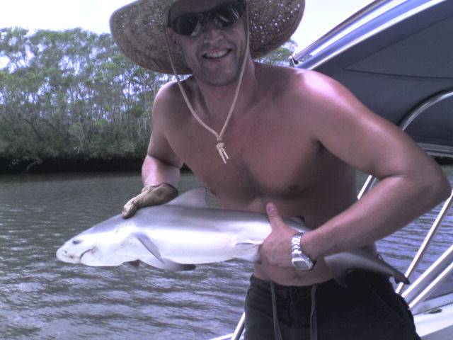 Baby Great White in the Pine