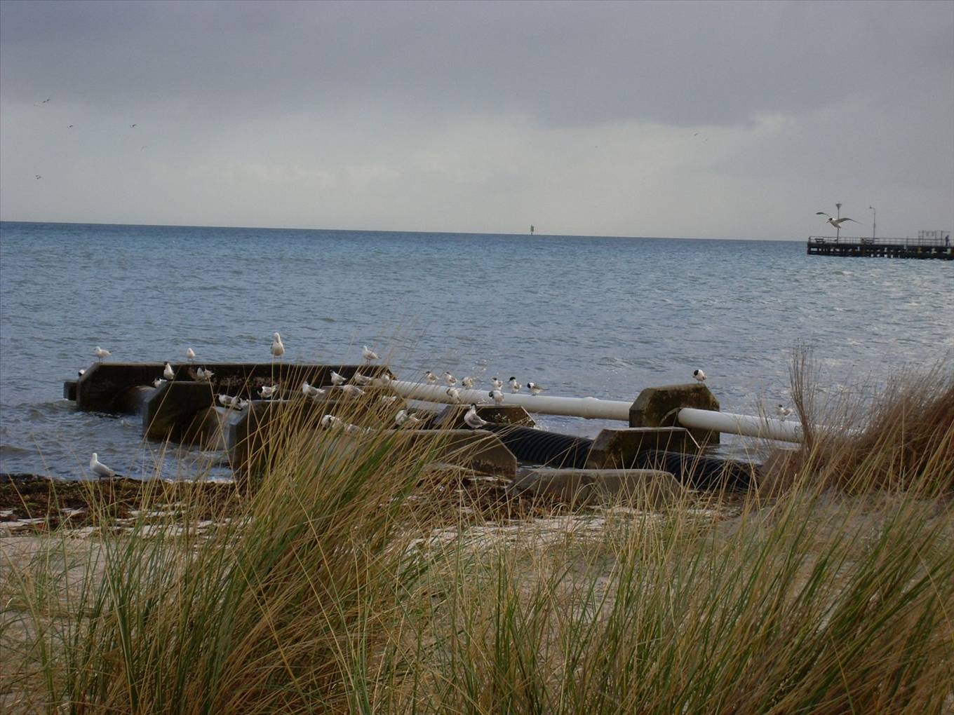 Rosebud water outlet