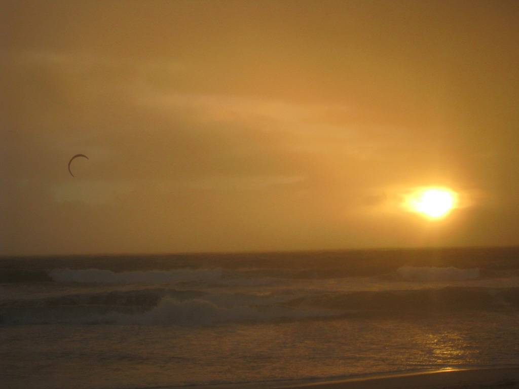 Winter goodness at sunset