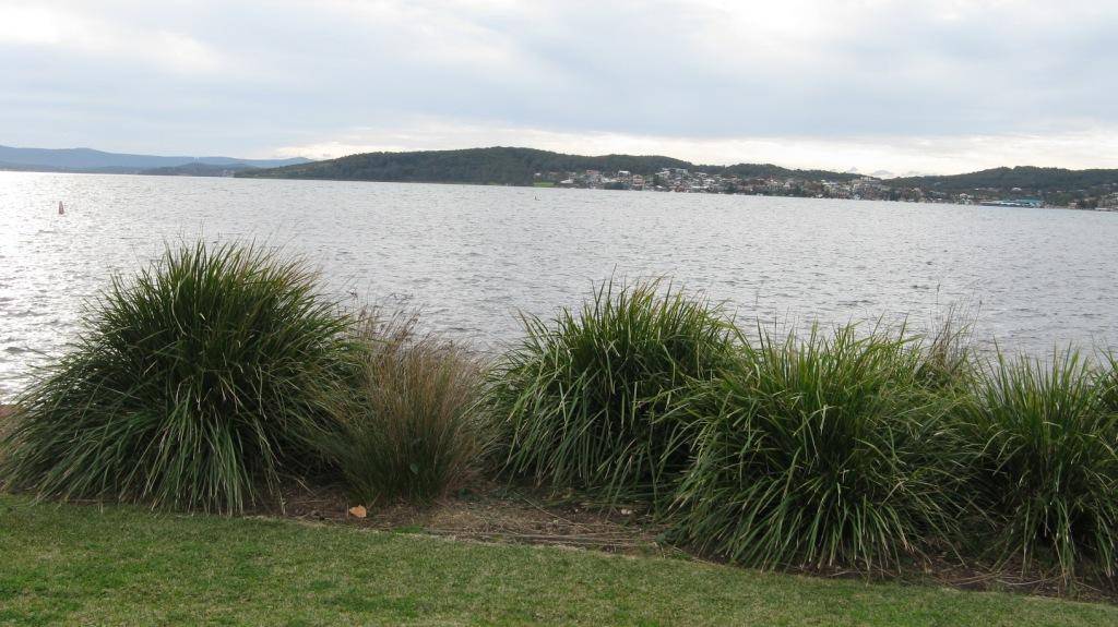 2010 Octane prototype