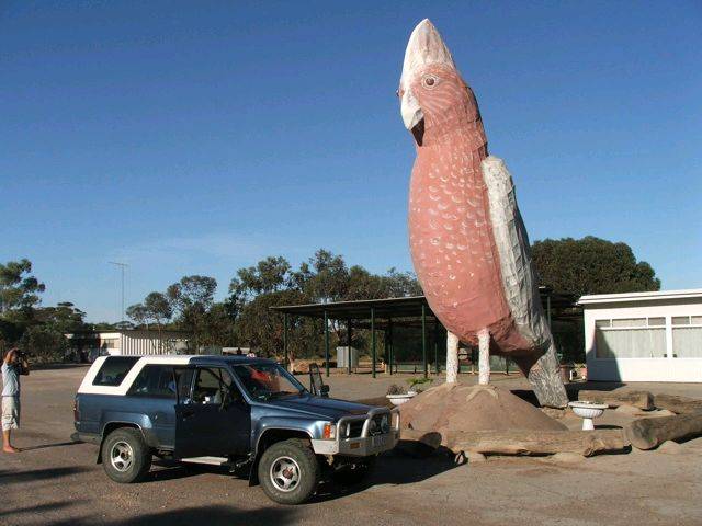 giant-galah
