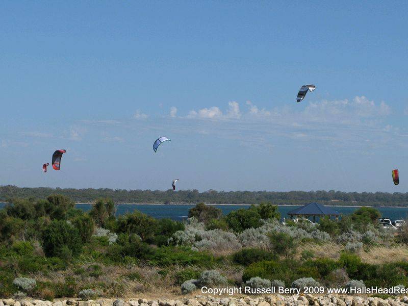Sunday swinging in the breeze 20th December 2009