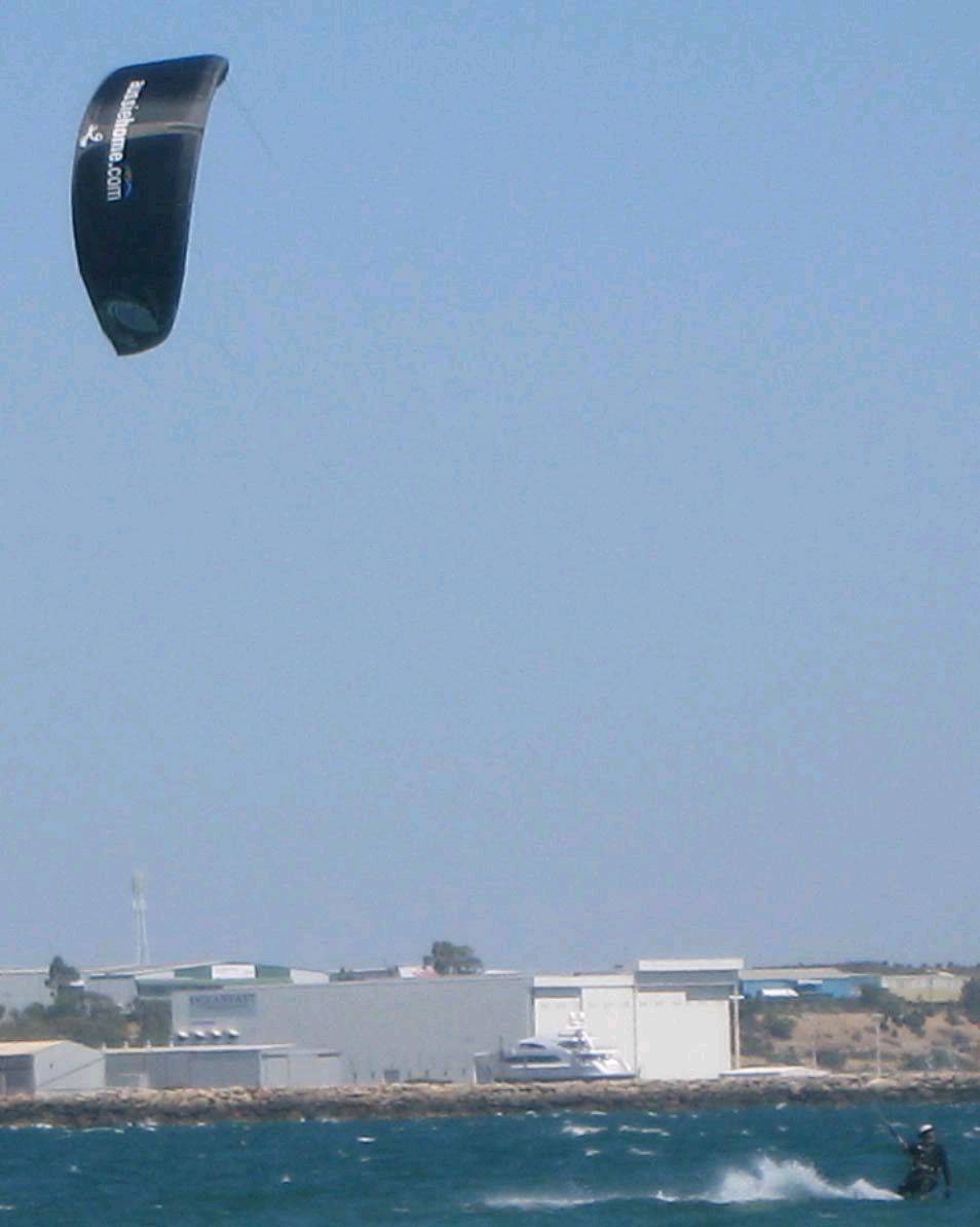 Black kites are cool