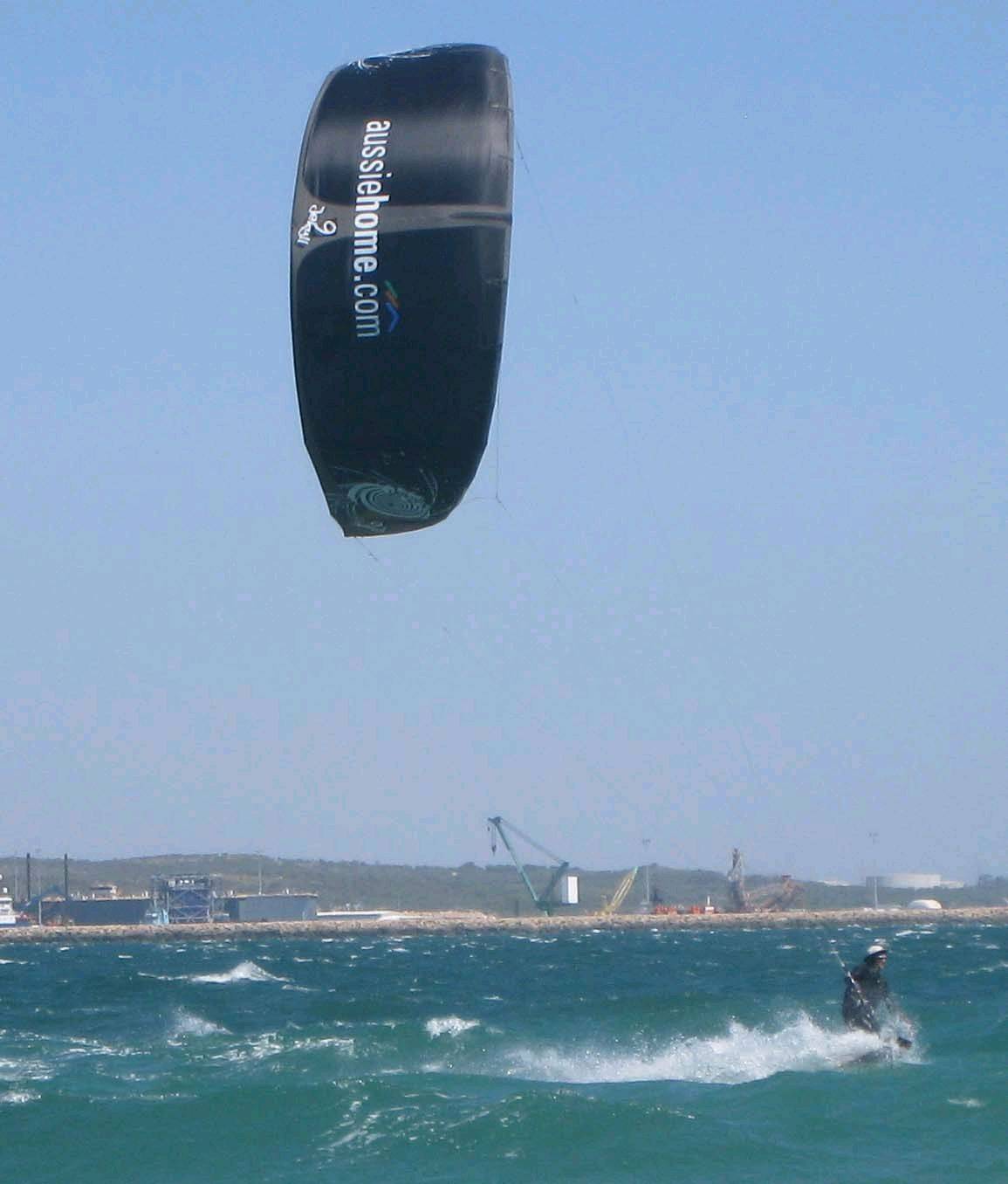 Black kites are cool