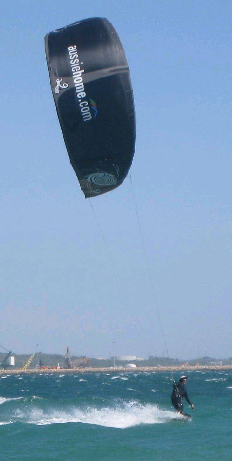 Black kites are cool