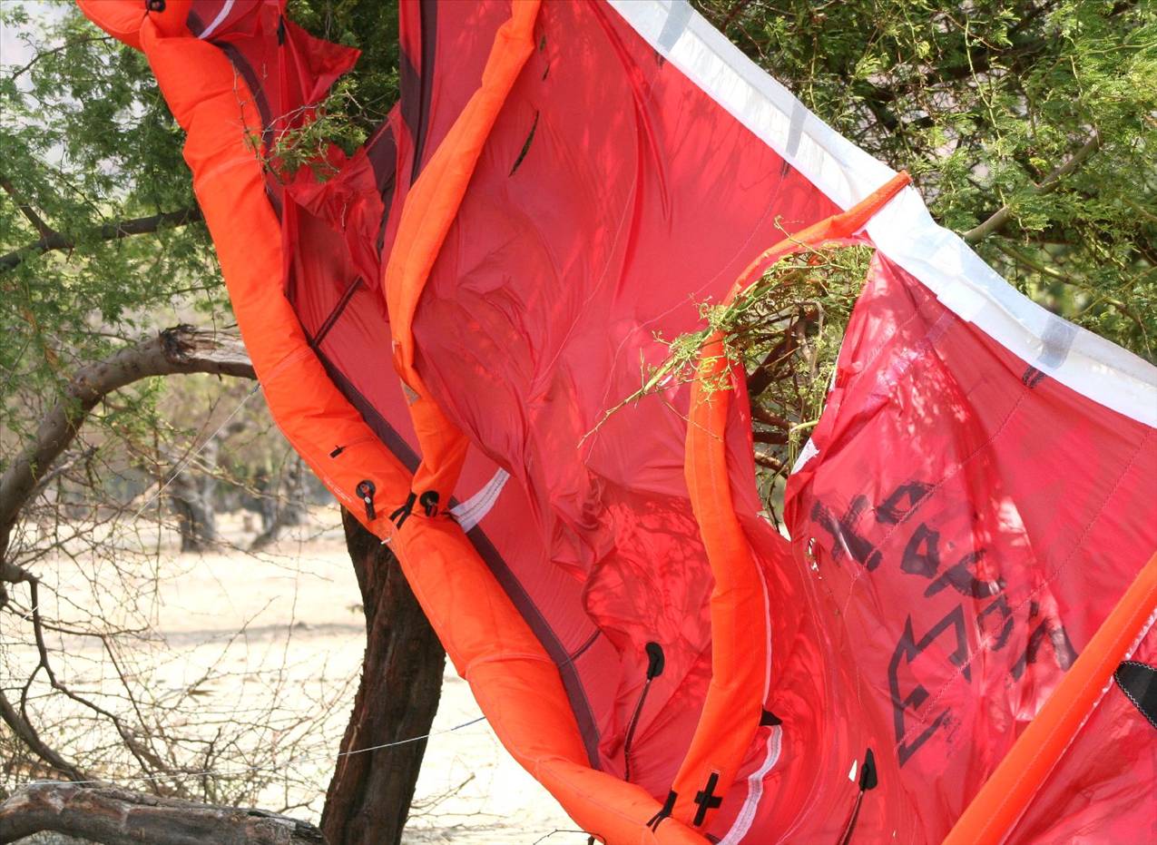 Kite in the bush - Need Kitefix